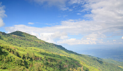 In the summer, the hills are high, with many trees interspersed with green grass and blue sky landscapes with white clouds behind.