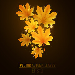 Autumn maple leaves glow on a black background. Fall festive template for your design. Abstract golden lights bokeh. Seasonal elements. Vector illustration.