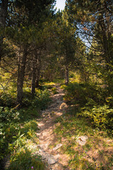 senderismo en parque natural cadi moixero