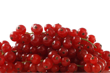 Red currant berries isolated on a white background
