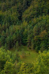 parque natural cadi moixero