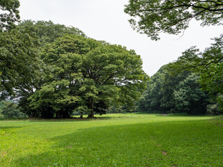 広場