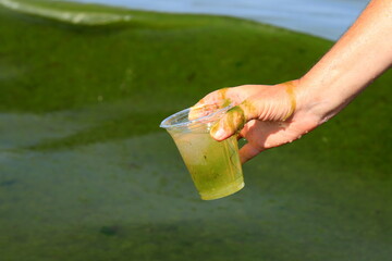 Global pollution of the environment and water. A man collects dirty green water with algae into a...