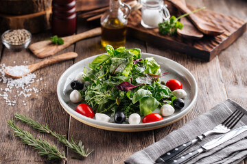 Salad with greens mozzarella olives and tomatoes