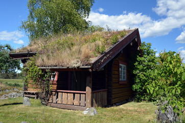 Fototapeta na wymiar Farm in South Norway.Ancient farming items and detales