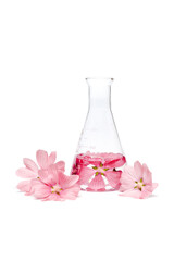 Production of natural flower cosmetics, petal extract in a chemical bottle. Essential oil from fresh herbs