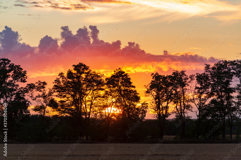 Wall mural orange sunset in the countryside