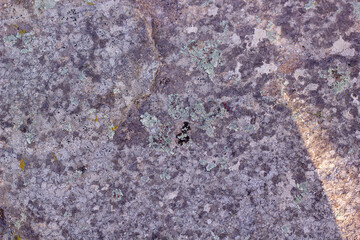 Grey grunge textured wall background copy space