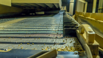 Grain conveyor at the elevator. Agricultural Industrial Background