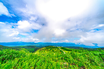 【志賀草津高原道路】雲上の絶景道路