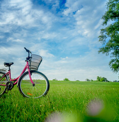 Fototapeta na wymiar Female bicycle with a basket stands on a green blooming field on blue sky background, summer vacation