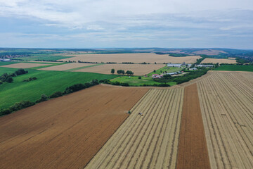 Rape harvest using combine harvester on summer field. Mechanical harvesting of oilseed rape...
