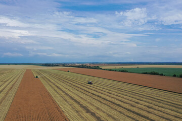 Fototapeta premium Rape harvest using combine harvester on summer field. Mechanical harvesting of oilseed rape (Brassica napus). production of plant energy for the oil industry. aerial view. Úri, Hungary - 03/07/2020