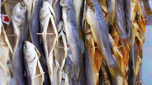 Dried fish hanging rope raw seafood drying salted beer snack Dry fish on store market Background