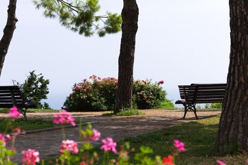 A garden with trees, plants, flowers and benches with a panoramic view above the Mediterranean sea (Pesaro, Italy, Europe)