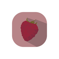 Flat design raspberry