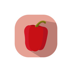 Flat design bell pepper