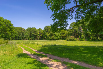 path in the park