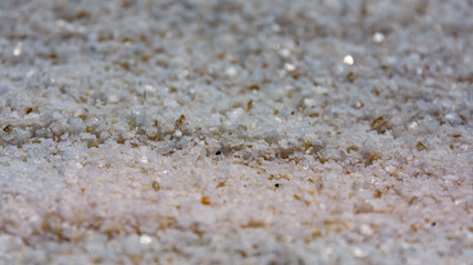 Texture of the sea salt for background. Natural pattern