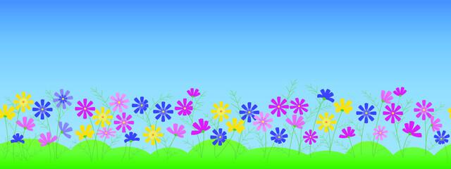 Cosmos. Seamless horizontal vector background. Panoramic vector flower background.