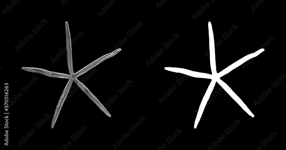 Poster a collection of black metal sculptures on a black background for your design ideas. 3d rendering of 