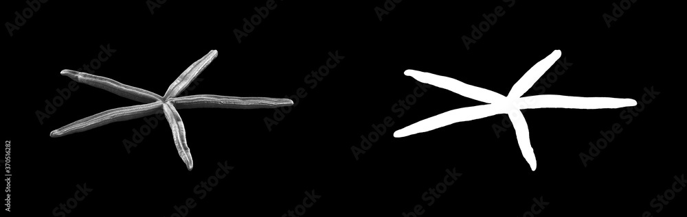 Poster a collection of black metal sculptures on a black background for your design ideas. 3d rendering of 