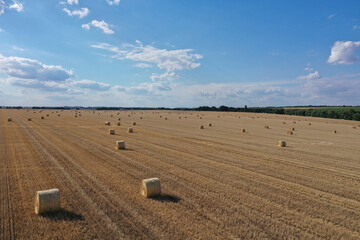 Obraz premium Agricultural field made of yellow round round big bales after harvest, straw rolls, straw bales in the agricultural field. Hay collection in the summer field. Drone photo in Úri, Hungary - 03/07/2020