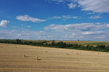 Fototapeta premium Agricultural field made of yellow round round big bales after harvest, straw rolls, straw bales in the agricultural field. Hay collection in the summer field. Drone photo in Úri, Hungary - 03/07/2020