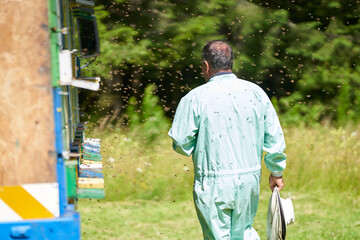 Beekeeper checking his hives