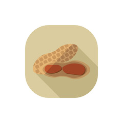 Flat design peanut