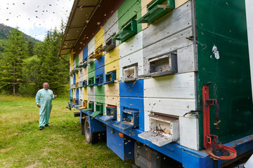 Fototapeta na wymiar Beekeeper checking his hives
