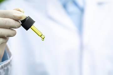 Doctor hand holding bottle of Cannabis oil against Marijuana plant, CBD hemp oil pipette. Cannabis recipe, alternative remedy or medication,  Medical marijuana, medicine concept.