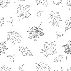 Seamless pattern of autumn outline leaves on white. Black and white.Background with contour maple, oak, chestnut leaf. Illustration for wrapping paper design, autumn sales, wallpaper, textile. Vector.