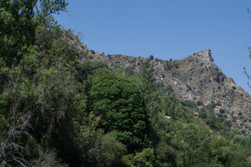 g&oacute;ry drzewa krajobraz natura widok