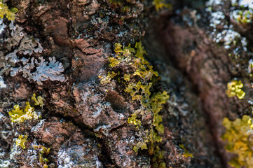 woda czysta źródło rzeka kamienie 