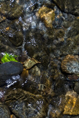 woda czysta źródło rzeka kamienie 