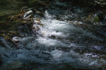 woda czysta źródło rzeka kamienie  © Piotr