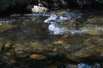 Naklejka na ściany i meble woda czysta źródło rzeka kamienie 