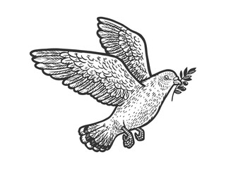 dove with olive branch sketch raster illustration