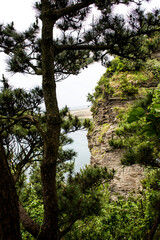 The beautiful seascape  beach and coastline.