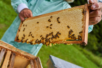 One handed beekeeper working