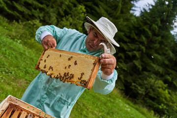 One handed beekeeper working