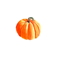 bright watercolor pumpkin on a white background