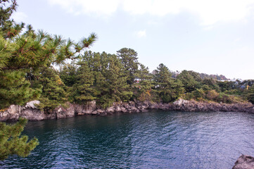 Obraz premium Beautiful landscape of seaside,trees, forest and blue sky.