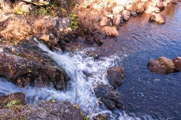 The lake landscape in spring on the background of green grass and tree.