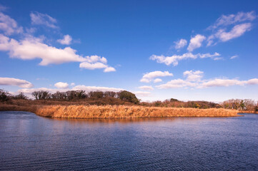 The lake landscape in spring on the background of green grass and tree.