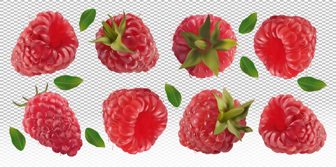 Raspberry falling from different angles. Flying raspberry with green leaf on transparent background. 3D realistic raspberry. Raspberry falling from different angles. Vector illustration