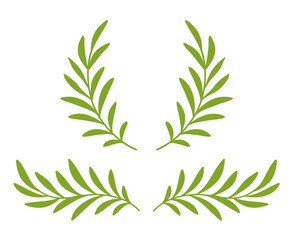 green olive branches with leaves and wreath