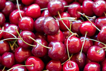 Obraz na płótnie Canvas Red cherry background. Red ripe delicious cherries harvest.