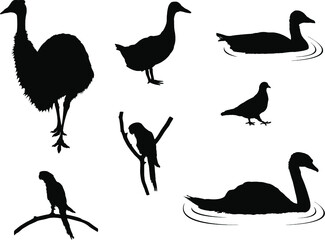 set of silhouettes of birds